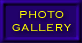 Photo Gallery